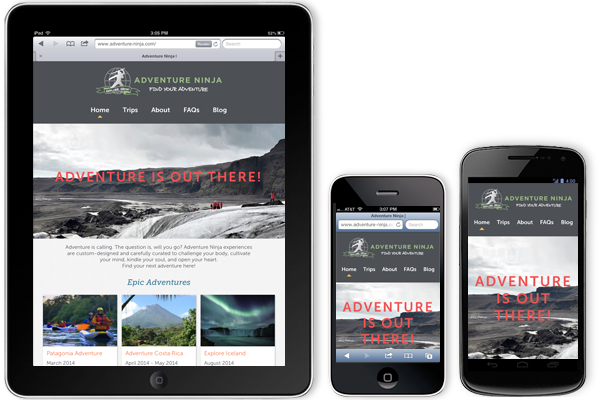 Adventure-Ninja.com Mobile Portrait View